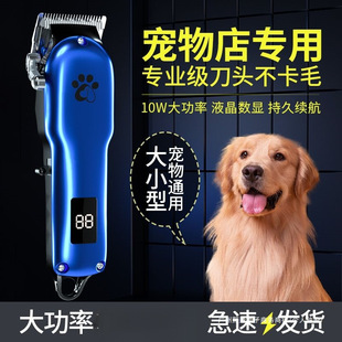 �������ӌ��I��ë��������Ƽ���ë��ë����������Ȯ����ꌣ��