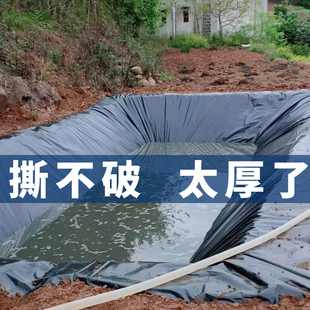 Fish Pond Sunshade and Rainproof Tarpaulin Waterproof Cloth Storage Pond Breeding Canvas Oilcloth Fish Pond Anti-Seepage Membrane Water