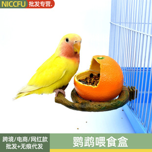 NC�W�^ιʳ�з�������ιʳ����Ƥĵ��ʳ��ü���ڳ�������ιʳʳ��