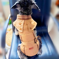 ペットの犬と猫の四季英国マントオールインワンコート紳士マント中小型犬テディビション