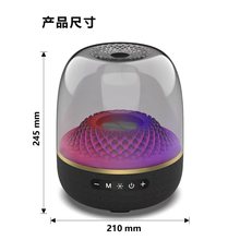 �A�����~��������L-98�{��������ʵ����ڟo�������y����Ų�