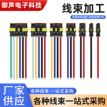 厂家供应DJ7021-1.5-11/21汽车防水连接线发动机传感器车灯端子线