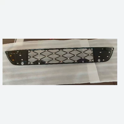 and Lint-Proof Exterior Modification — Automobile anti-insect net