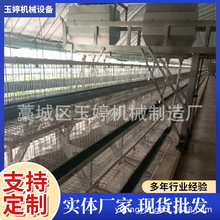 厂家生产鸡笼子 批发蛋鸡笼肉鸡笼 全自动养鸡设备 鹌鹑笼