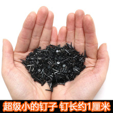 黑色钉鞋鞋钉修木板小钉圆头臭皮钉秋皮迷你铁钉木工钉子补鞋小号