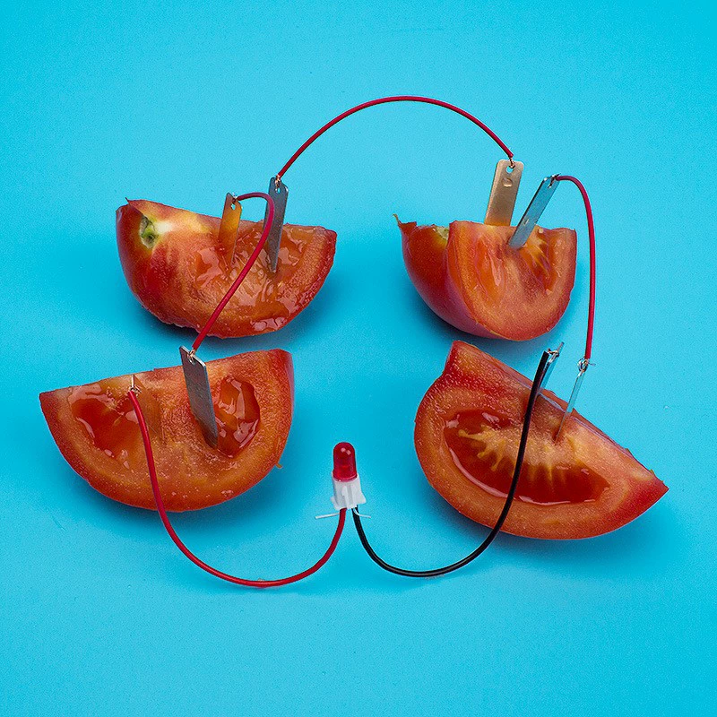 DIY самодельный фруктовый аккумулятор Электрогенератор эксперимент цинк медь картофель технология небольшое производство изобретение инструмент Физические материалы