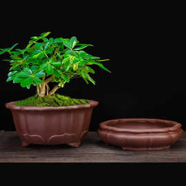 宜兴紫砂花盆古典高档方形盆景盆客厅桌面榕树老桩花卉绿植批发