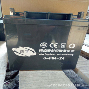 ÷�� ������늳�6-FM-24 �����U����늳�12v24ah/10hr �y��ʽ