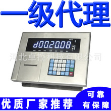 �����ذ���ͷ�Ǳ�D2008 ����������Ǳ����Ҵ���