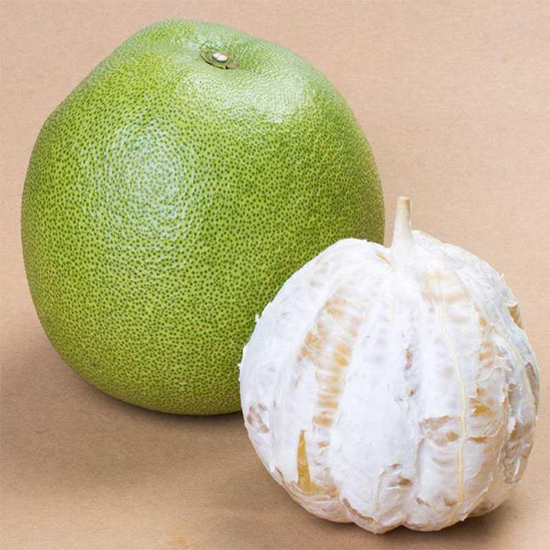 가성비 (단일과일 1.0kg-1.2kg개) - 매우 달콤함 - 태국 그린 포멜로 [1팩]