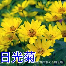 չջNӶ׷N׻ͥԺļ_Nl