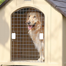 ���C�����F�T