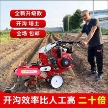 186型大葱种植开沟机 塑料大棚草莓种植起垄机 农作物覆土培土机