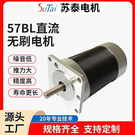 微型电动机;特殊电机;伺服电机