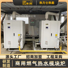 �͵�����ʽ����ȼ���ů�t�Ƶ�����ϴ���ˮ��Ȼ��偠t�ڒ�t