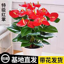 ���t��ˮ��ˮ�B���ļ��_��һ���L혻���ֲ���҃Ⱥ��B�Gֲõ���r��
