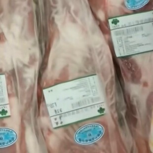 ��ǰ��֧��һ�����l��������