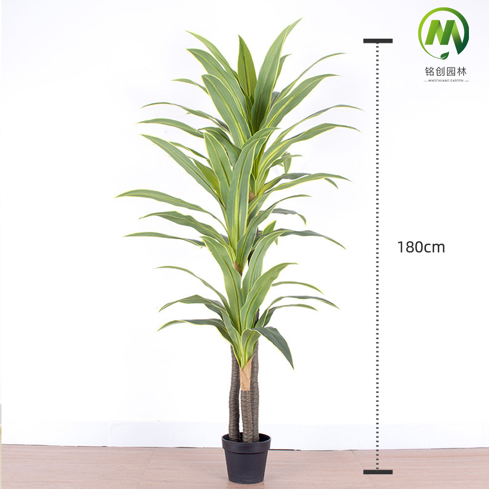 Planta verde de simulación de piso a gran escala, árbol de hierro rojo, madera brasileña, decoración interior, planta de simulación, hierro brasileño de borde amarillo