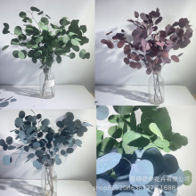 �����A�~�ȼ�����ɫ�O���~�ȼ������~���r���ҾӲ廨�~�Ļ�Ӳ���