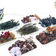 }QֹDIYϰG~޻Ӱ˽ɹɰ