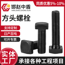 定制加工8.8级高强度四方头螺栓发黑碳钢方头螺丝全扣半扣加长螺
