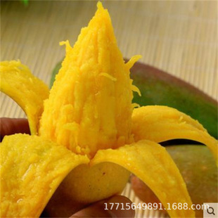 ��Ʒ�N̩���o���S��â�������r��������Y�����Ե����ϱ��ɷN