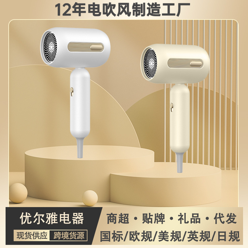 Cross-Border Hair Dryer Negative Ion Hair Dryer Portable Home Hair Salon High Power Constant Temperature Amazon Temu Dropshipping