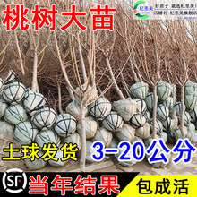 һlشҘԎ޽ӶSˮӵϱ