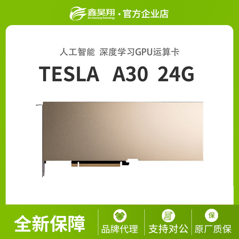 nvidia英伟达Tesla A30 24GB AI人工智能深度学习gpu服务器显卡