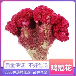 ��ș���u�ڻ� �u�ٻ� �ρ��t�J���u�ڹP�u�� �Pβ�u�� ֧��ș�z