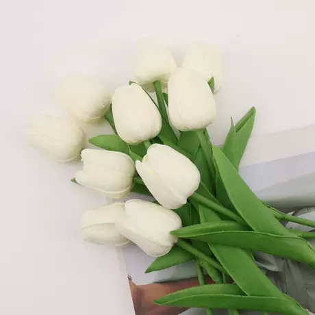 Cream White