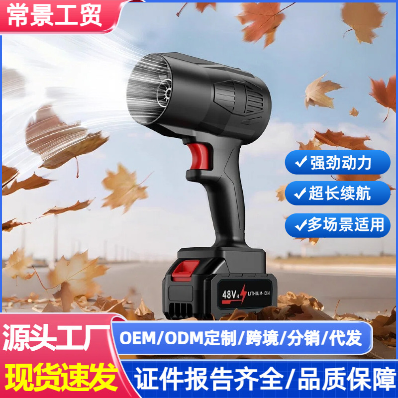 Industrial Wireless Electric Lithium Battery Hair Dryer High-Power Violent Ducted Turbine Blower Dust Remover with Large Air Volume