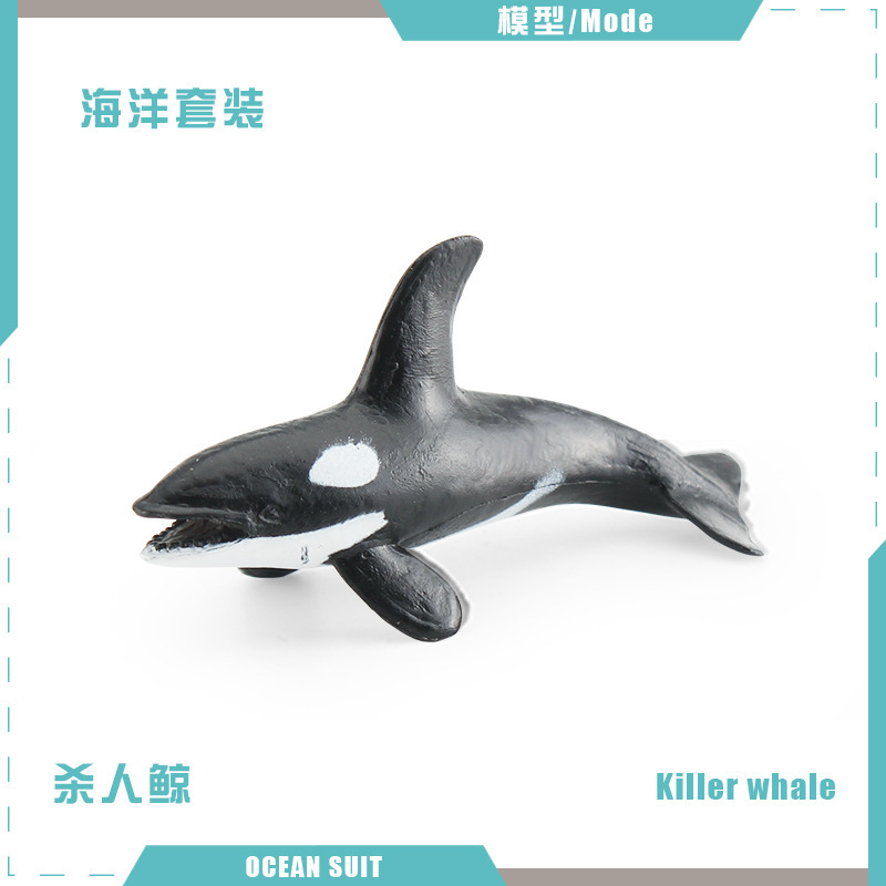 BL-5058 ballena asesina 6G