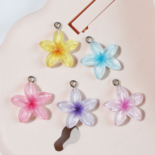 5���ɫ͸���ѻ���껨�u�����������diy��֬���耳׿�������