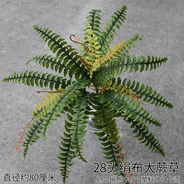 Red 28 head cloth big fern grass