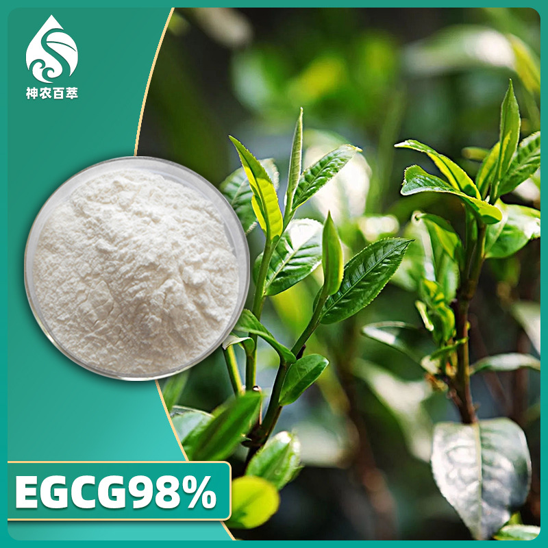 EGCG98%绿茶提取物水溶性茶单宁 食品级儿茶素 茶多酚98% EGCG50%