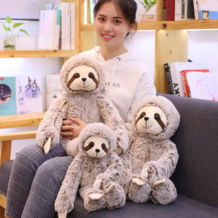�ɐ��W늸�Ц������ë�q��ߘ�й��Є����С������żһ�����l