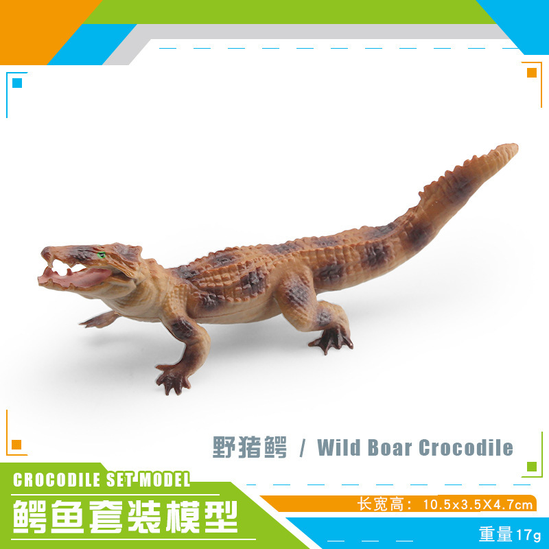Transfronterizos infantiles simulación anfibio cocodrilo modelo cocodrilo imperador cocodrilo Yangtze mandíbula móvil estático juguete de decoración