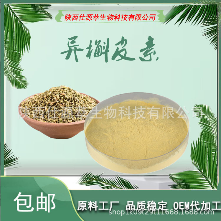 异槲皮素98% 槐米提取物 槲皮素 现货供应 厂家直销