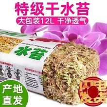干苔藓水苔纯天然青苔兰花石斛蝴蝶兰种植文心兰专用土厂家批发