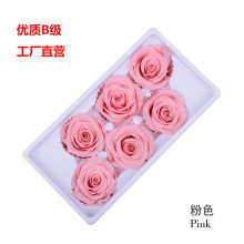 ����������õ�廨�^5-6cmB��A��õ�廨�^6���bdiy�Y����������