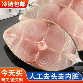 冷冻鲅鱼段海捕速冻鲜马鲛鱼中段速冻深海鱼马鲛鱼海鲜批发代发