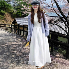 2025春の新型清純風甜美風透かし編みのカーディガンは簡単に肉を遮るワンピースのファッション二点セットです。