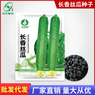 �L��z�ϷN��20�� �r���L�z�ϷN�ѿ�����Ʒ�N�z�ϷN���߲˷N���l