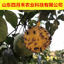 ճ�x��ω����ٴ�ω�Tω��ᘷ��ω�Tճ�Sɫ�G���������l�S