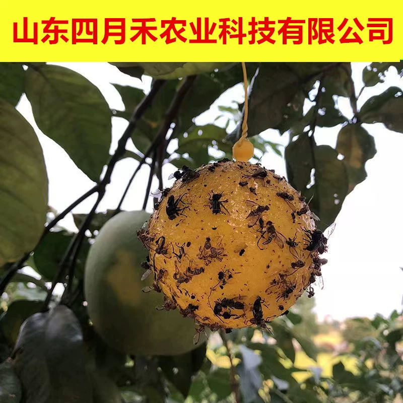 Липкий червь кокковидный шарики цитрусовых крупных мух