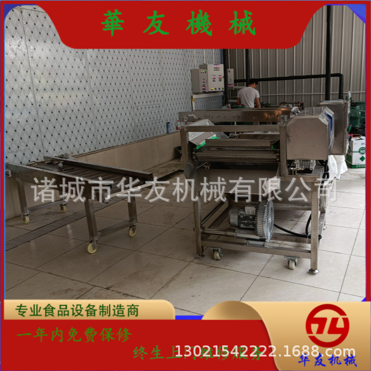 华友HYGB-4200-B多种型号挂冰机 海鲜水产速冻后包冰衣设备