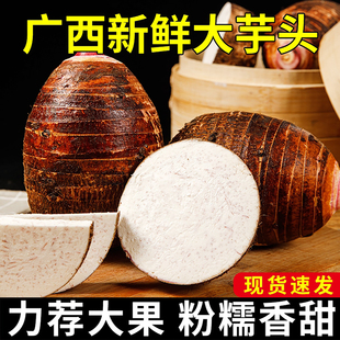 �V�������^�خa���r�����^9�������r���ԷN�����^������ܵ��Ş��