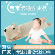 小紅書同款0-3-6歲嬰兒枕頭兒童蕎麥枕彩棉卡通枕套嬰兒枕可拆洗