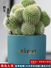 �������������������҃ȶ�����X����ؔ[�Gֲ���B�k���ҷ�ݗ��